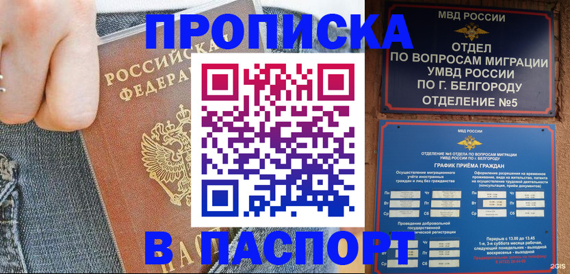 помощь с регистрацией через МФЦ в Ростовской области